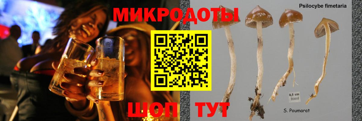 Псилоцибиновые грибы Psilocybine cubensis  Вход с VPN  дарнет шоп  Кызыл  Псилоцибиновые грибы Psilocybine cubensis 
